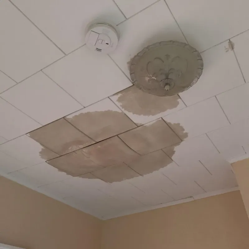Ceiling Water Damage Repair in Belmont, NY